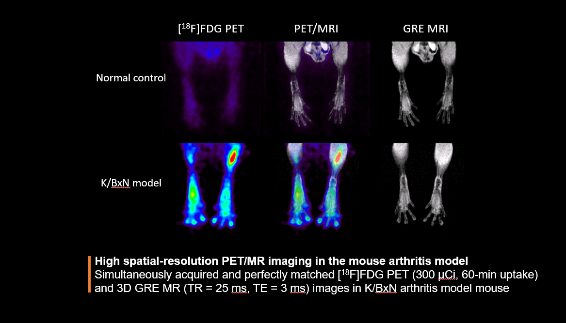 High spatial-resolution PET/MR imaging in the mouse arthritis model